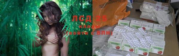 дмт Белокуриха