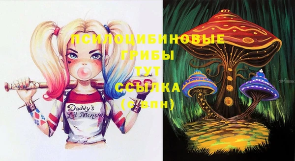 сатива Белоозёрский