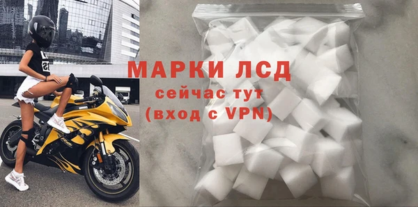 трава Корсаков