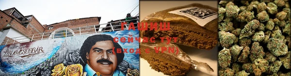 сатива Белоозёрский