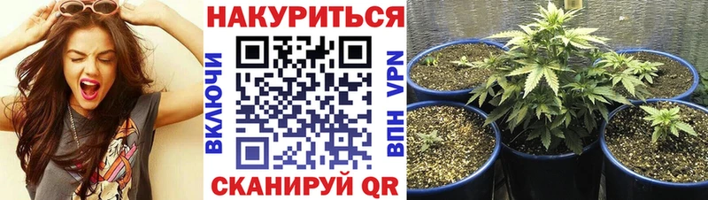 Канабис Bruce Banner  купить  сайты  Ельня 